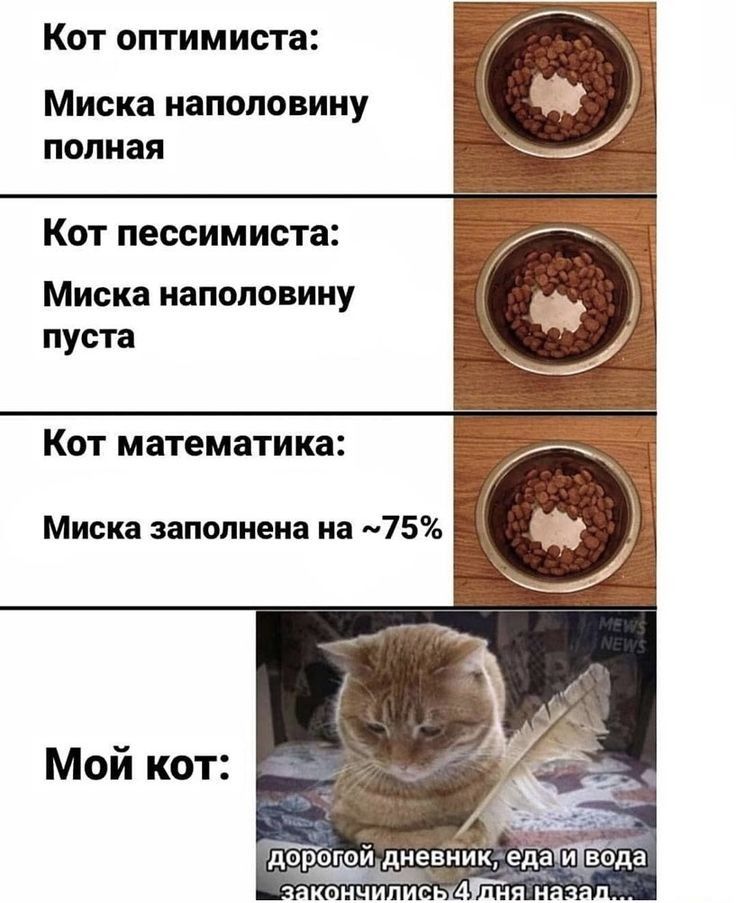 Кот оптимиста Миска наполовину полная Кот пессимиста Миска наполовину пуста Кот математика Миска заполнена на 75