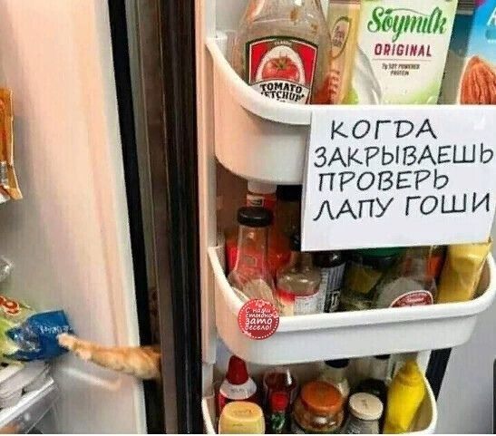 ашан КОГВА ЗАКРЫВАЕШЬ ПРОВЕРЬ ААПУГОШИ