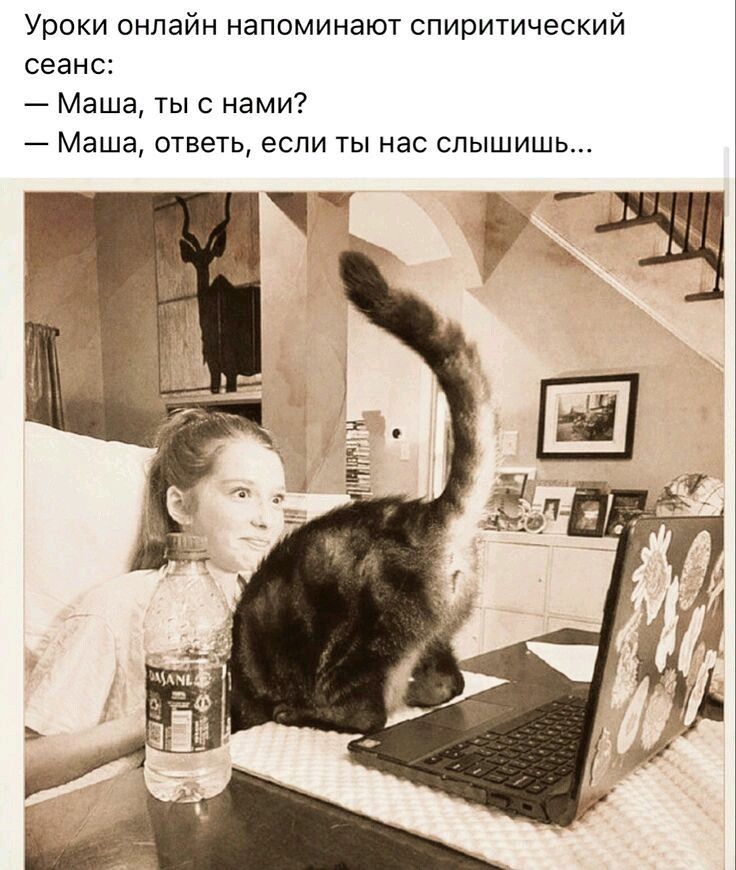 Уроки онлайн напоминают спиритический сеанс Маша тыс нами Маша ответь если ты нас слышишь