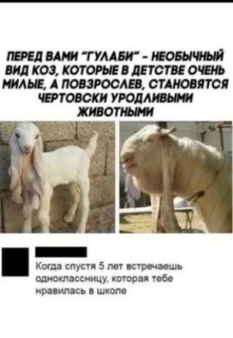 тлштумт М максктшппютж щдпошосшдшювти кии спустп 5 кур ниш иждивении камри м ирцимс ш юм