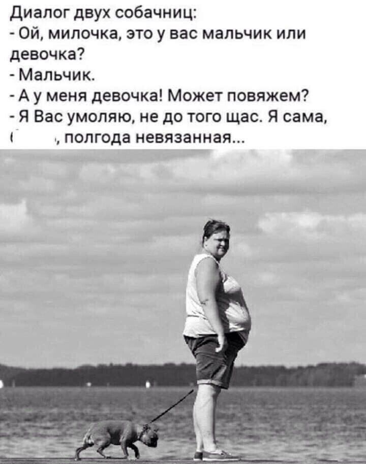 диалог двух собачниц Ой милочка это у вас мальчик или девочка Мальчик А у меня девочка Может повяжем Я Вас умоляю не до того щас Я сама полгода невязанная