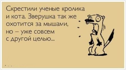 Скрестиихи ученые КРОАИКЭ и кота Зверушка так же охотится за мышами но уже совсем с другои цеАЫО