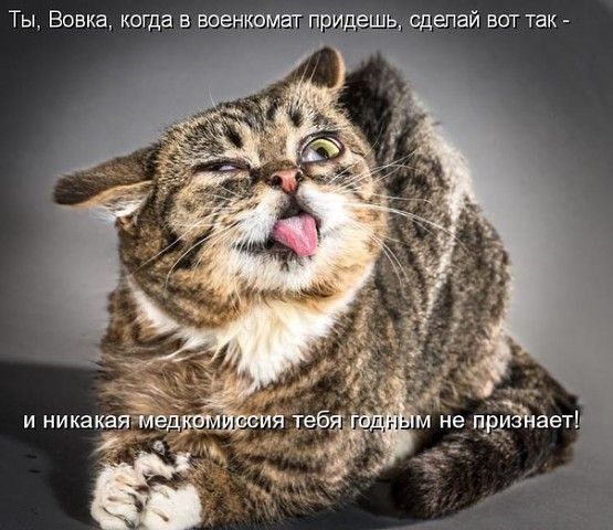 Ты Вовка когда в военкомат придешь сдепай вот так