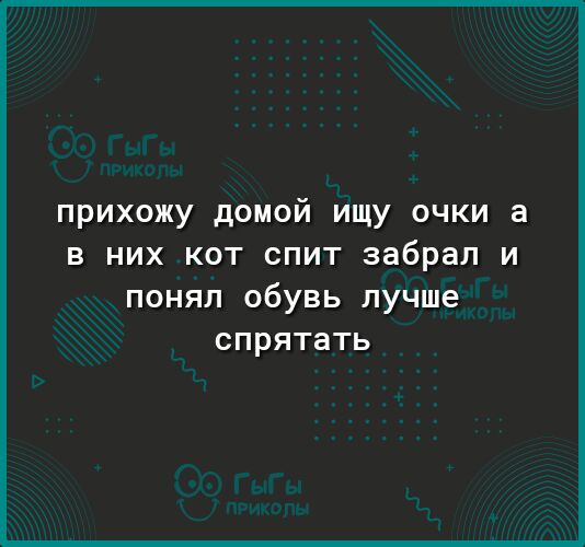 прихожу домой ищу очки а в них кот спит забрал и понял обувь лучше спрятать