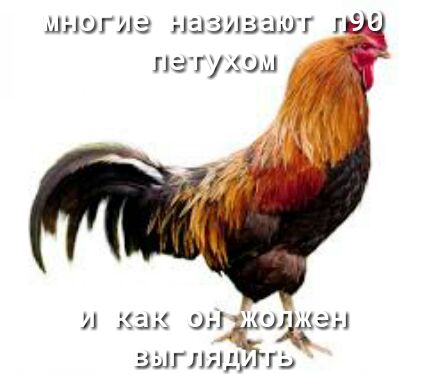 шшгиэ дзиаашг ЭЭ пэгу ши он 53119 ГЛЯД г