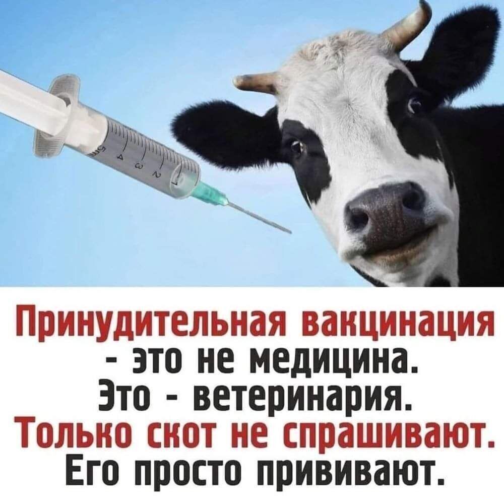 11 Е ь это не медицина Это ветеринария і Его просто прививают _