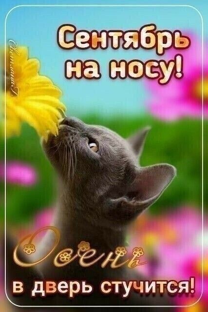 В Дверь СТУЧИТСЯ