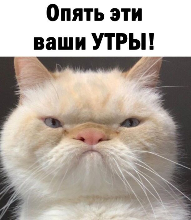 Опять эти ваши УТРЫ