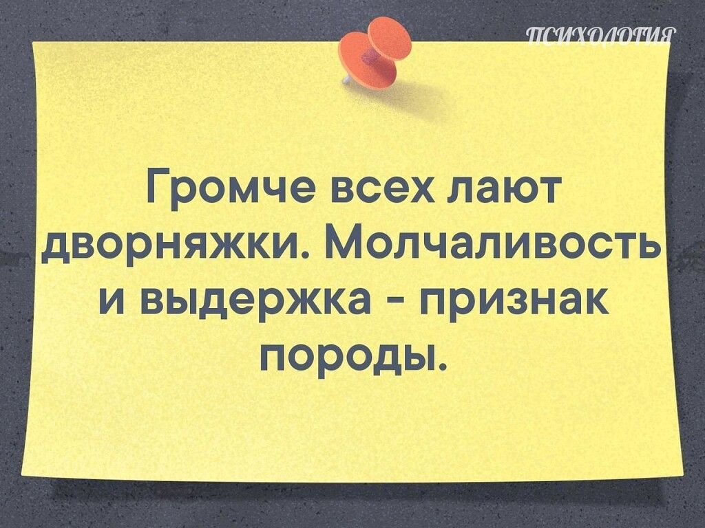 Признак породы. Громче всех лают дворняжки молчаливость и Выдержка признак породы. Громче всех лают дворняжки. Картинки, лают дворняжка , Выдержка признак породы.