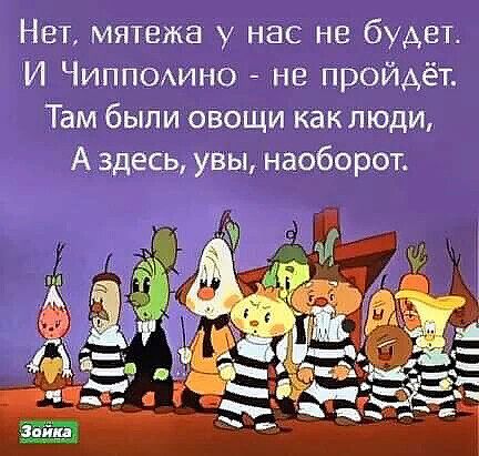 Нет мятежа у нас не будет И Чипп0Аино не пройдёт Там были овощи как люди А здесь увы наоборот