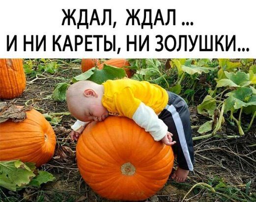 ждАл ждАл и ни КАРЕТЫ ни золушки