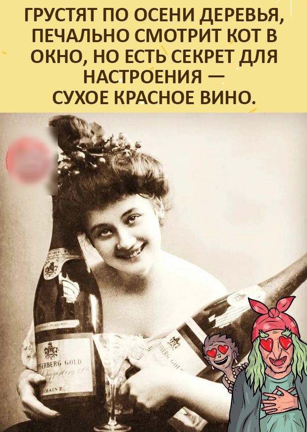 ГРУСТЯТ ПО ОСЕНИ ДЕРЕВЬЯ ПЕЧАЛЬНО СМОТРИТ КОТ В ОКНО НО ЕСТЬ СЕКРЕТ ДЛЯ НАСТРОЕНИЯ СУХОЕ КРАСНОЕ ВИНО __