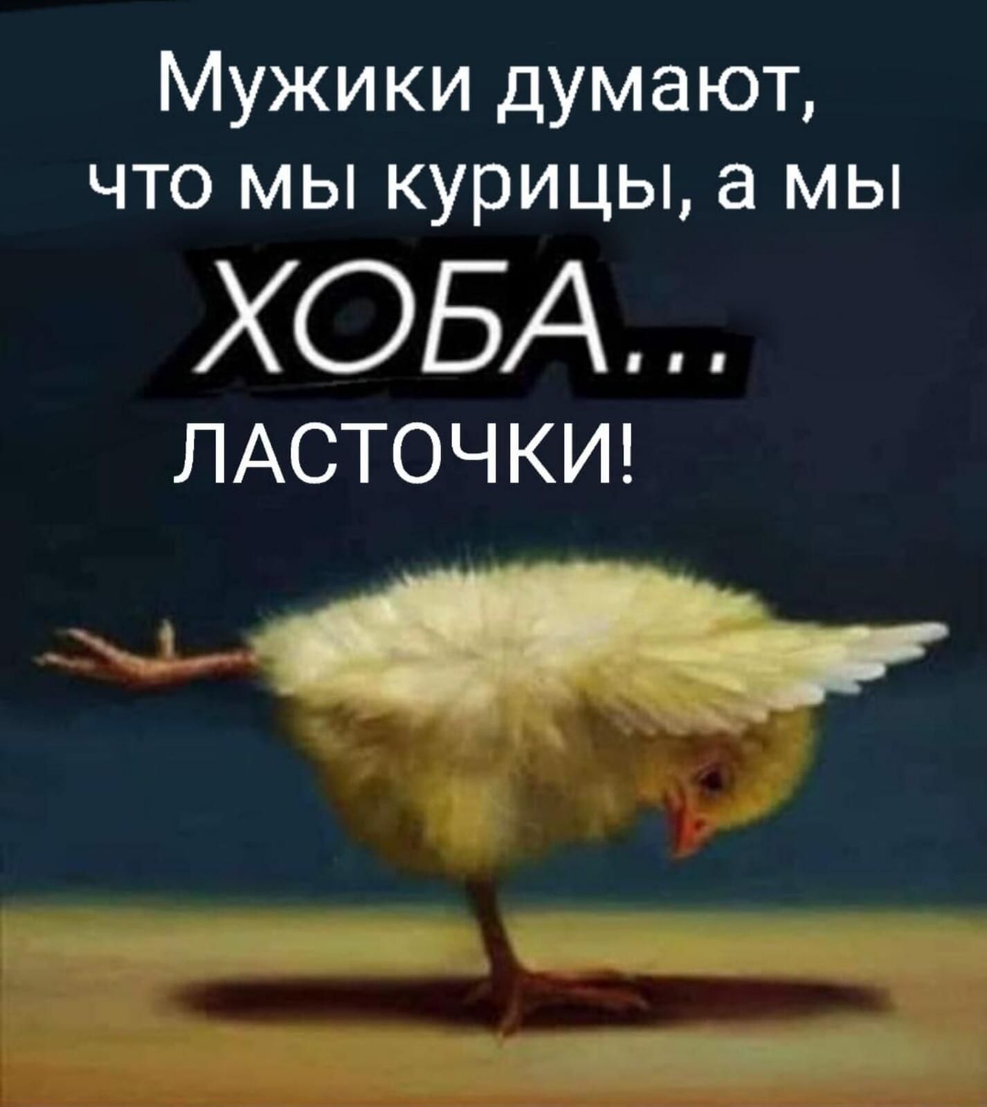 Мужики думают что мы курицы а мы ХОБА ЛАСТОЧ КИ