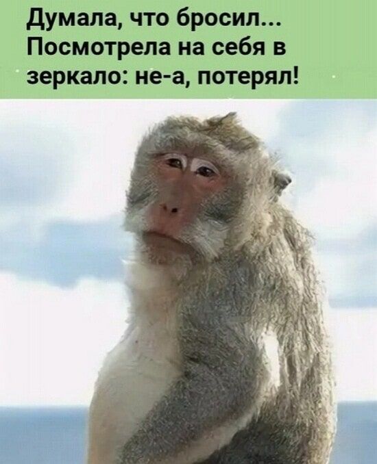 думала что бросил Посмотрела на себя в зеркало не а потерял