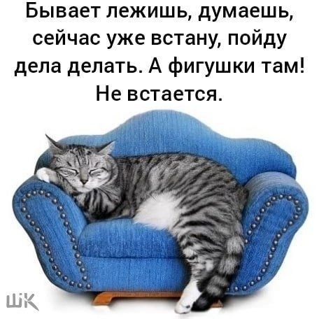 Бывает лежишь думаешь сейчас уже встану пойду дела делать А фигушки там Не встается