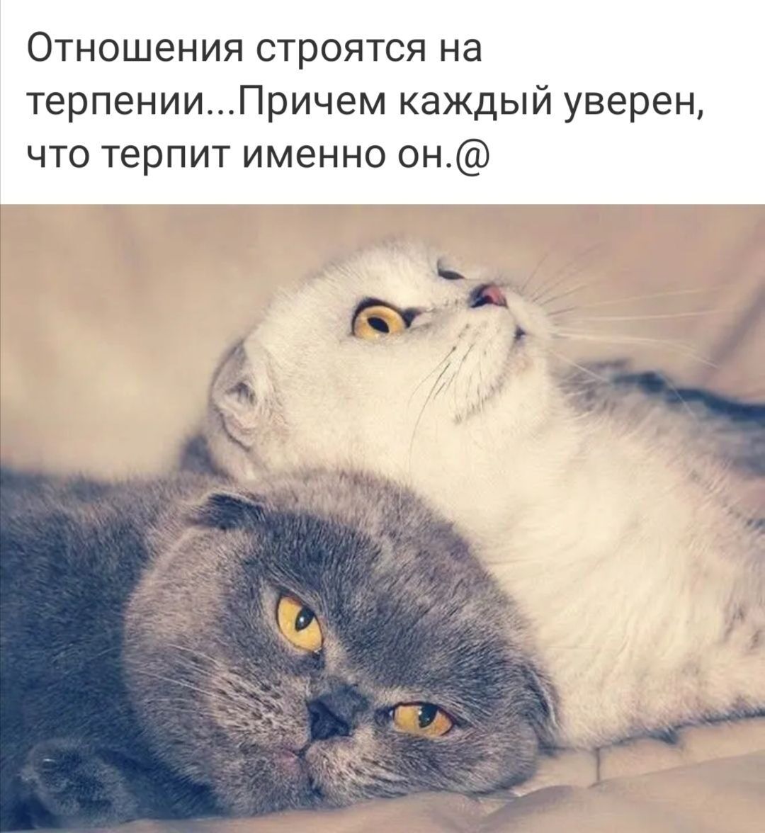 Уверен что каждый