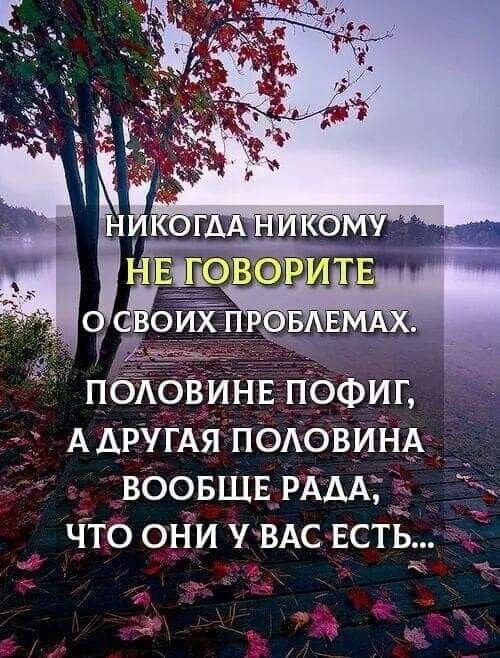 ПОЛОВИНЕ ПОФИГ АДРУГАЯ ПОЛОВИНА ВООБЩЕ РАДА ЧТО ОНИ УВАС ЕСТЬ