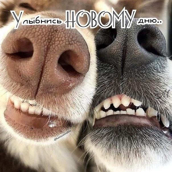 Уты зддёш