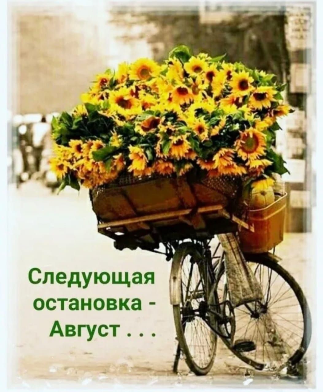 Следующая остановка Август