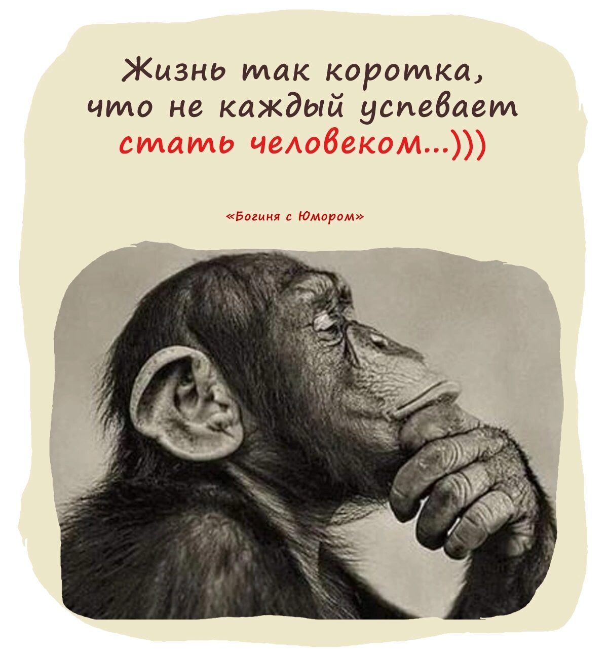 Жизнь так коротка что не каждый усиебиеид