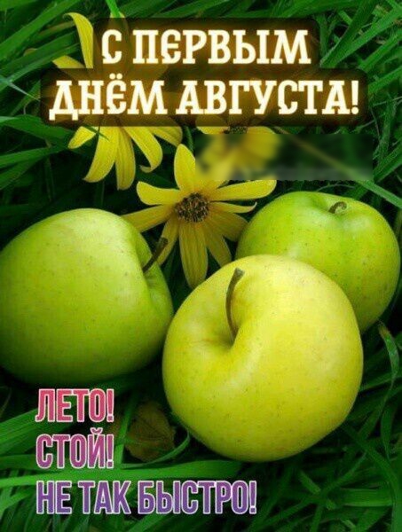 с первым Днём АВГУСТА Я ЕТЖБЪШШ