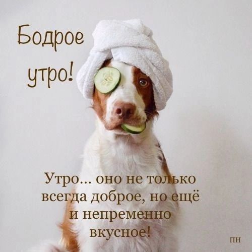 Утро она все адо Юрф інвпрем м