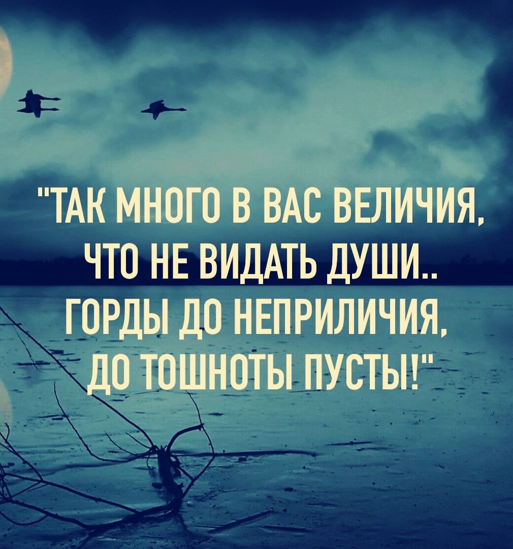 ТАК МНОГО В ВАС ВЕЛИЧИЯ ЧТО НЕ ВИДАТЬ ДУШИ ГОРДЫ ДП НЕПРИЛИЧИЯ до ТПШНПТЫ ПУСТЫ