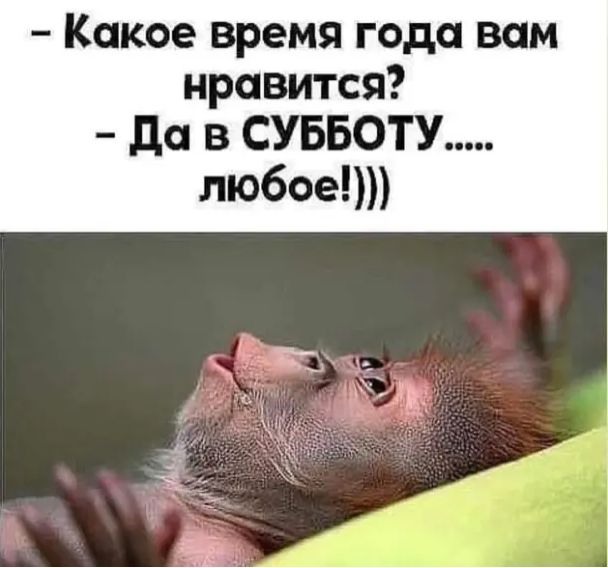 Какое время года вам нравится да в СУББОТУ любое