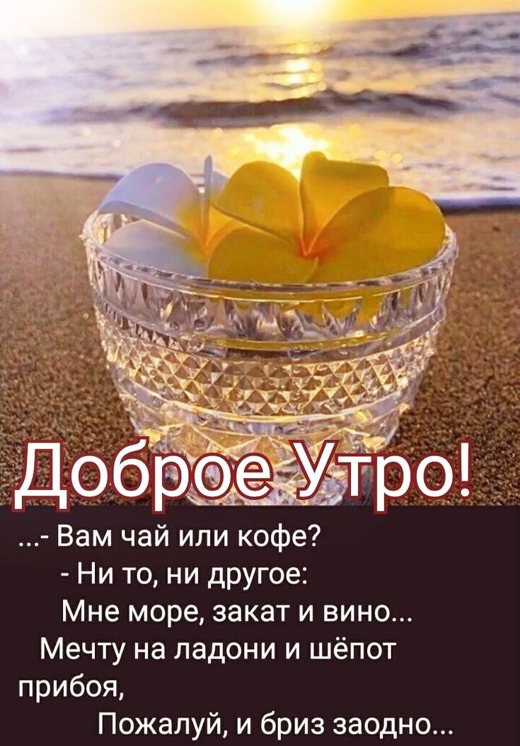 Вам чай или кофе Ни то ни другое Мне море закат и вино Мечту на ладони и шёпот прибоя Пожалуй и бриз заодно