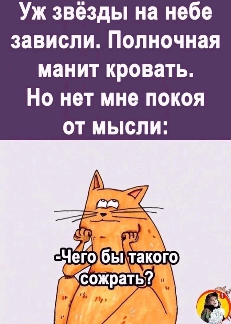 Уж звёзды на небе зависли Полночная манит кровать Но нет мне покоя ОТ МЫСЛИ