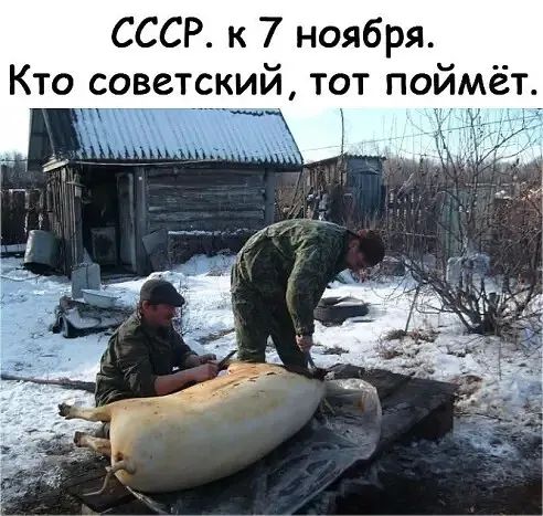 СССР к 7 ноября Кто советский тот поймёт