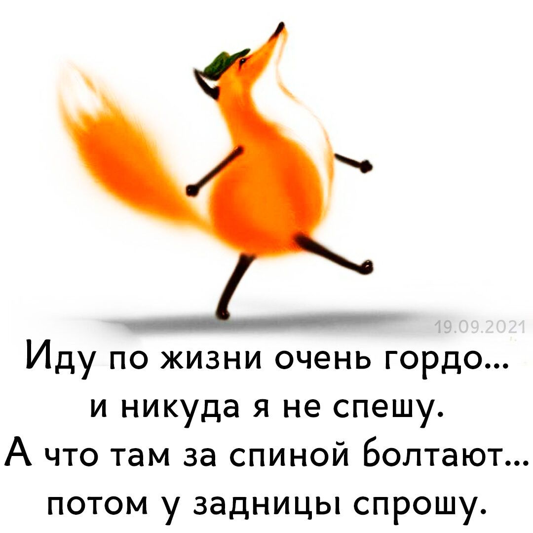 Иду по жизни очень гордо и никуда я не спешу А что там за спиной Болтают потом у задницы спрошу