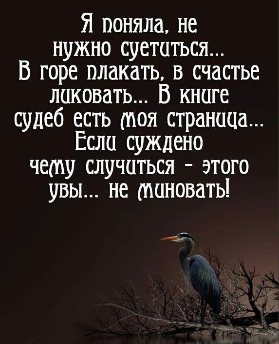 Я поняла не нужно суетиться В горе плакать в счастье ликовать В книге судеб есть ноя страница Если суждено чету случиться этого увы не миновать