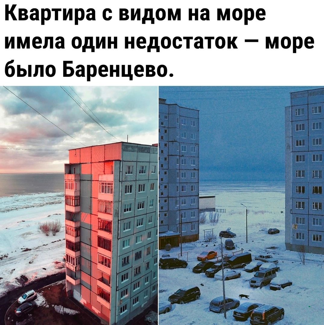 Квартира с видом на море имела один недостаток море было Баренцевод