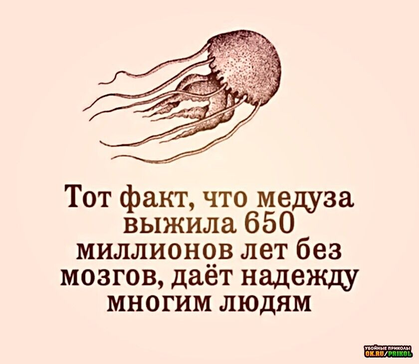 Тот факт что медуза выжила 650 миллион9в лет без мозгов дает надежду многим людям