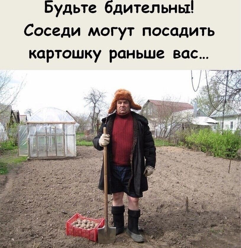 удьте дительнь1 Соседи могут посадить картошку раньше вас