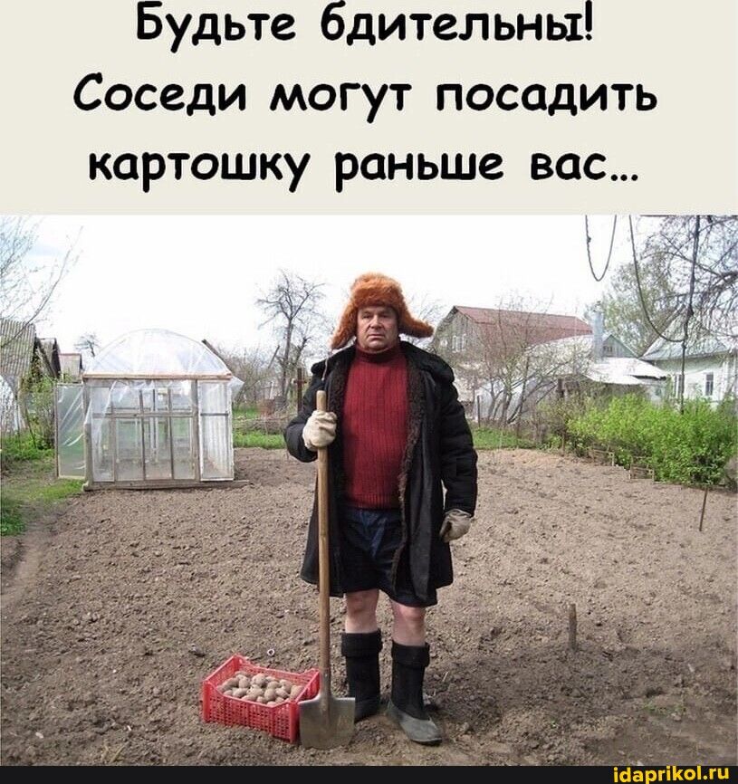 удьте дительнь1 Соседи могут посадить картошку раньше вас