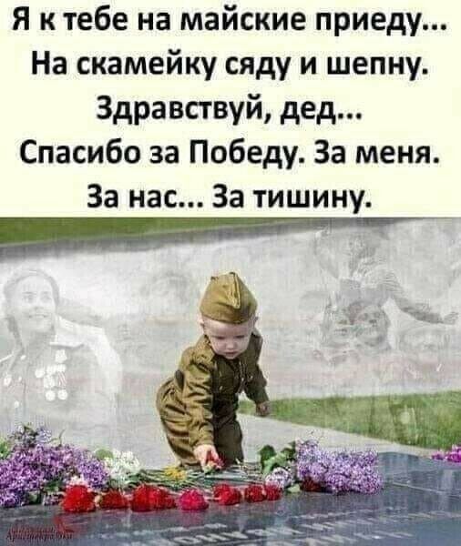 Я к тебе на майские приеду На скамейку сяду и шепну Здравствуй дед Спасибо за Победу За меня За нас За тишину