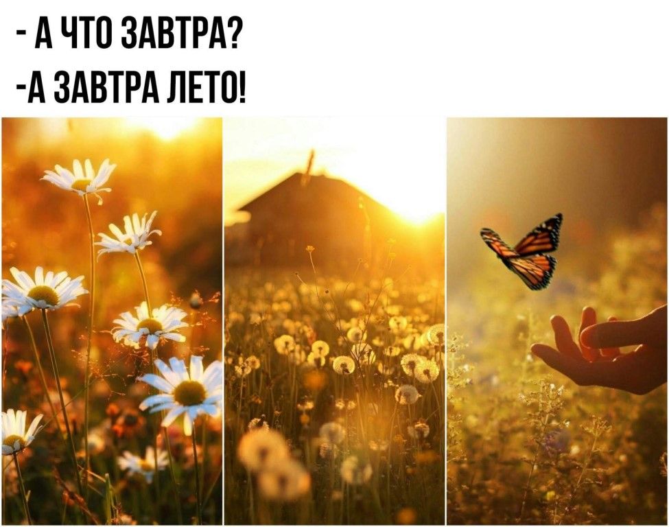А ЧТО ЗАВТРА А ЗАВТРА ЛЕТО