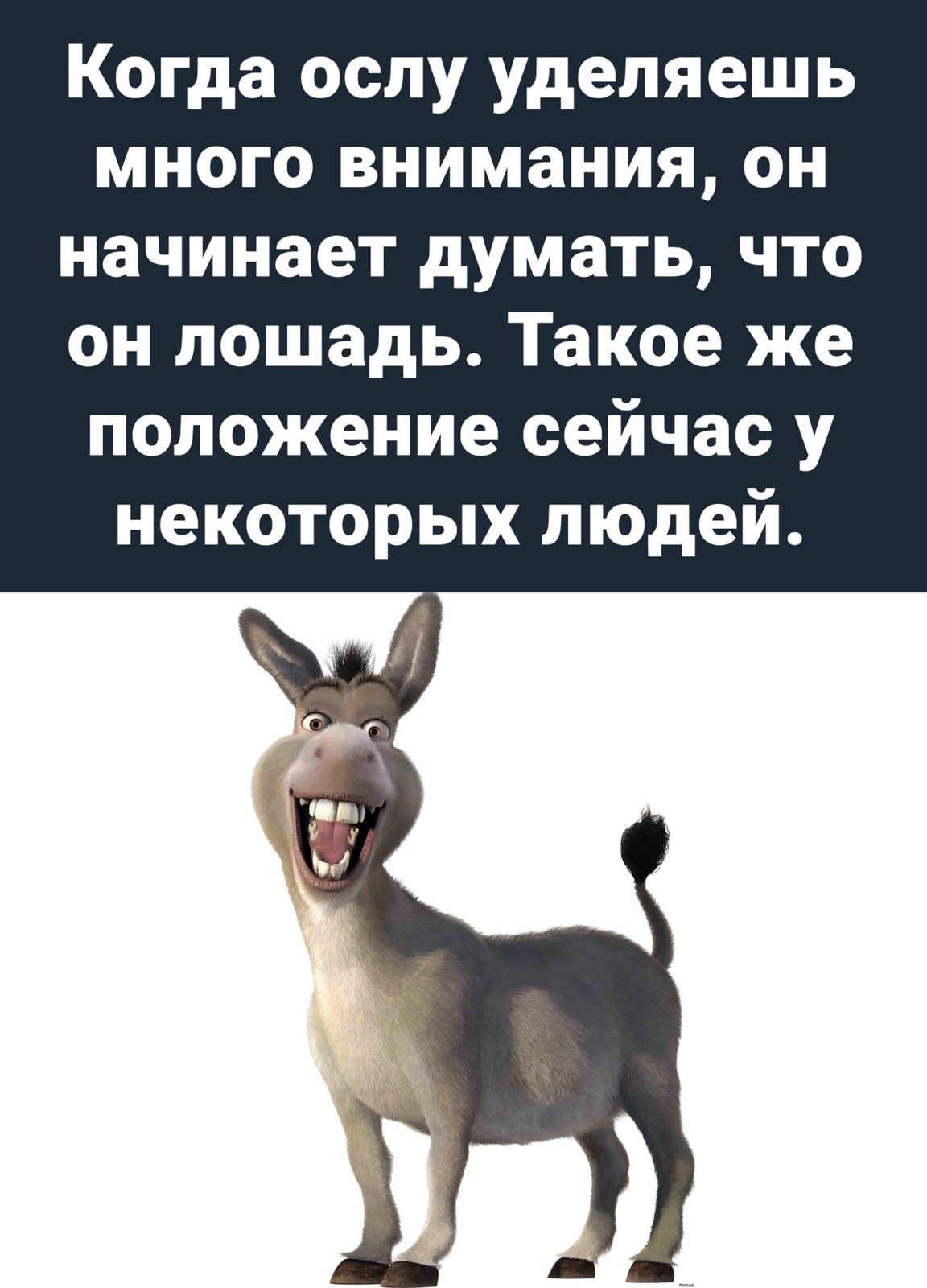 Когда ослу уделяешь много внимания он начинает думать что он лошадь Такое же положение сейчас у некоторых людей
