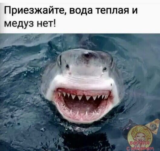 Приезжайте вода теплая и медуз нет