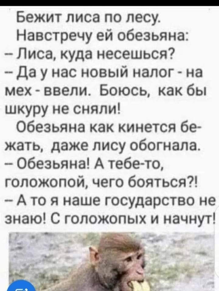 Бежит лиса по лесу Навстречу ей обезьяна Лиса куда несешься да у нас новый налог на мех ввели Боюсь как бы шкуру не сняли Обезьяна как кинется бе жать даже лису обогнала Обезьяна А тебе то гопожопой чего бояться А то я наше государство не знаю С гопожопых и начнут _ _