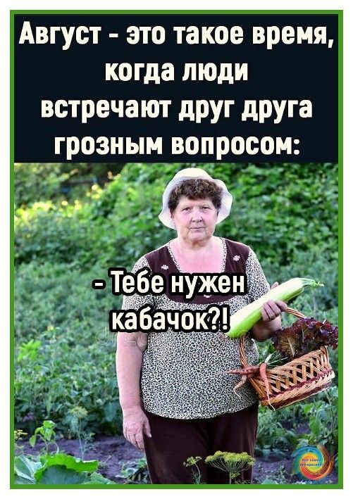Август это такое время когда люди встречают друг друга грозным вопросом 70 АЭУ 3