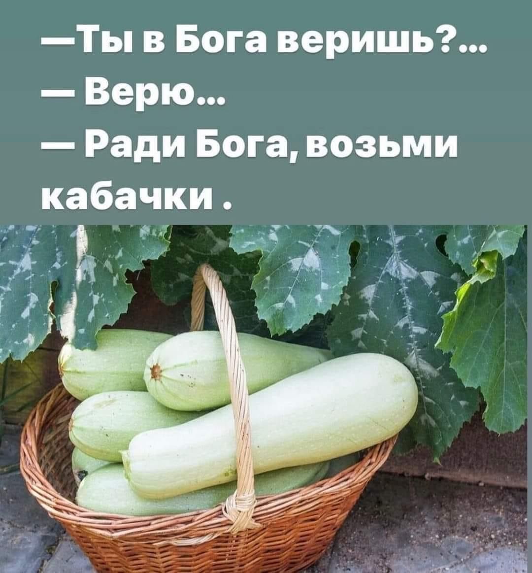 Ты в Бога веришь Верю Ради Бога возьми кабачки д _ Ъд _ _1 М К