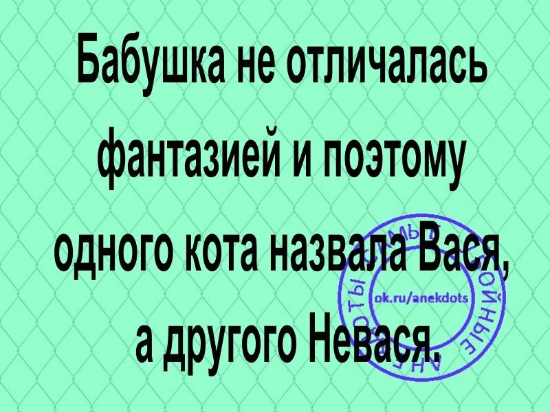 Бабушка не отличалась фантазией и поэтому одного кота наз адРУгогоН