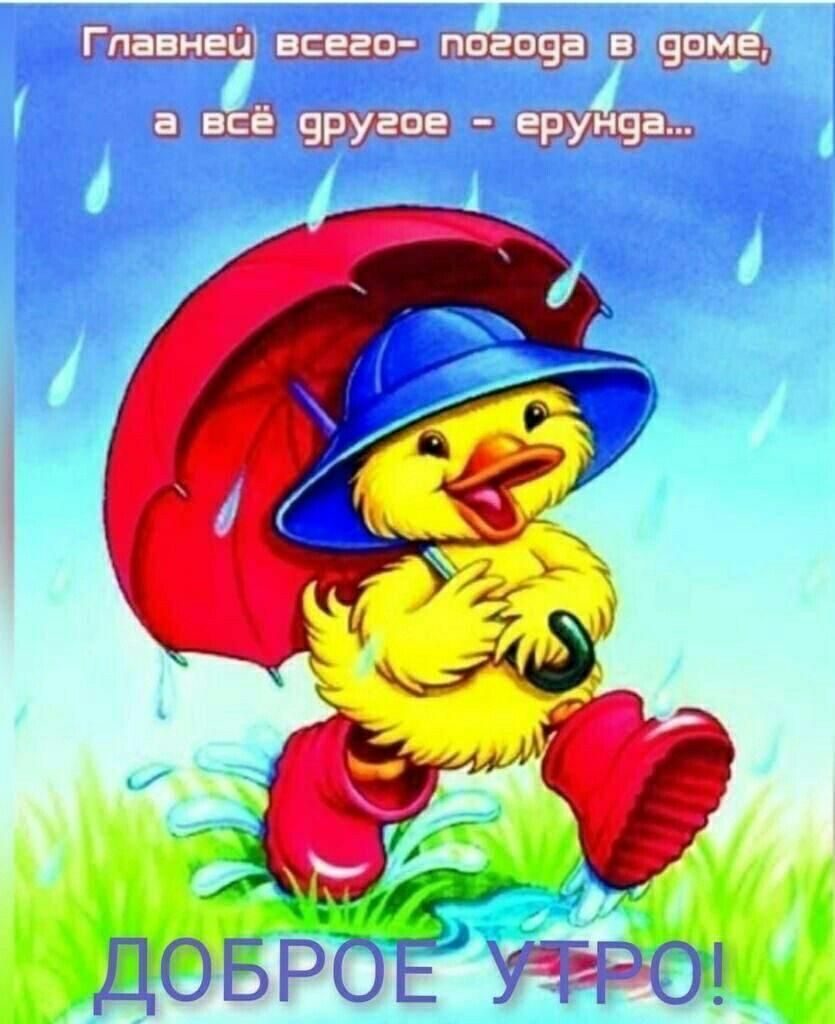 4113 щ 511Ц ш мы