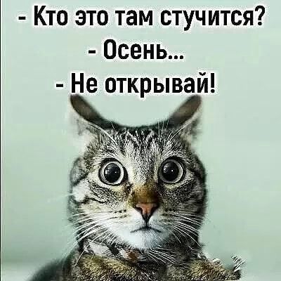 Кто это там стучится Осень Не открывай