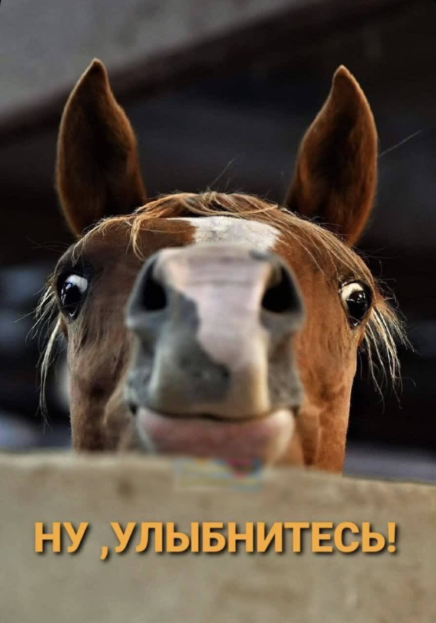 НУДУЛЬТЬНИТЕСЬ