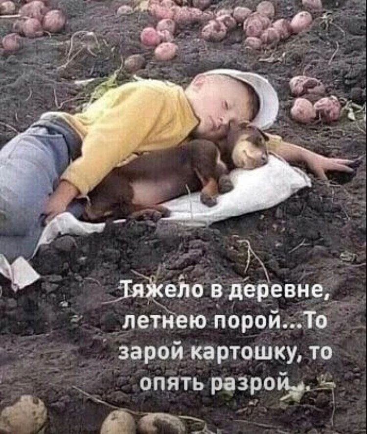 Ёйыо в11езщг_ _ летнею порой То зарой картошку то опять разрез З мы