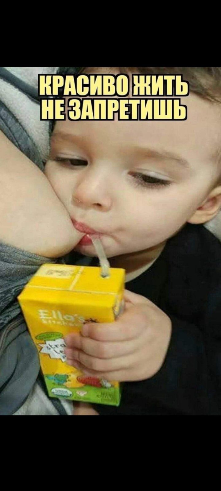 имет жить здпгвтишь
